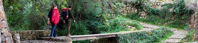Wandern auf La Palma - nur zu Fuss erleben Sie die Insel richtig